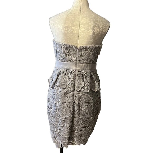 Adrianna Papell Dress 10 Pewter Light Lilac/Gray W Bra Wedding Party Cruise - Picture 4 of 10